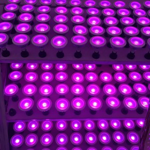 18W COB LED Grow Par Light